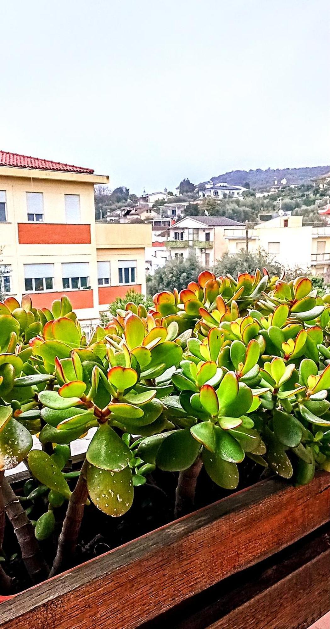 Big Mama Jungle Rooms Terracina Exterior foto